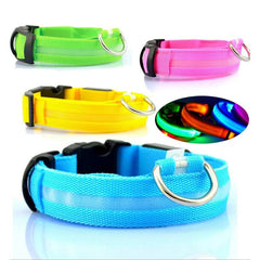 LED Pet Dog Collar for Night Safety, Nylon Leash with Glow-in-the-Dark Feature