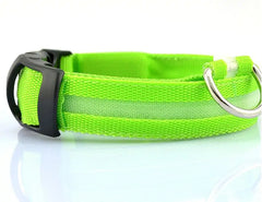 LED Pet Dog Collar for Night Safety, Nylon Leash with Glow-in-the-Dark Feature